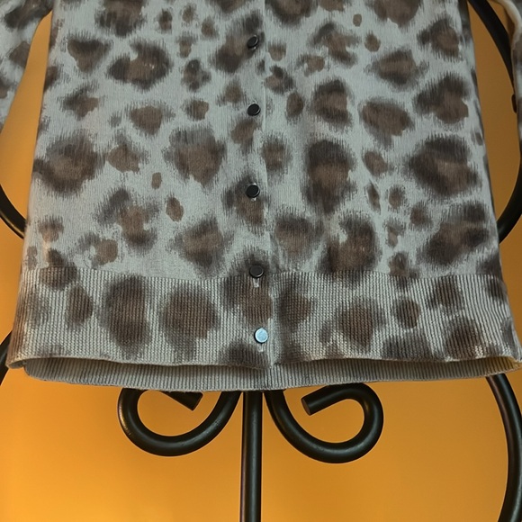 ANN TAYLOR LOFT - Picture 4 of 8